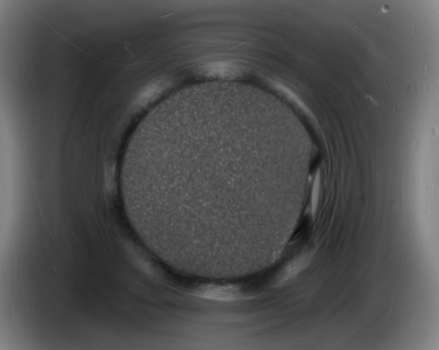 X0000085280403200703301920