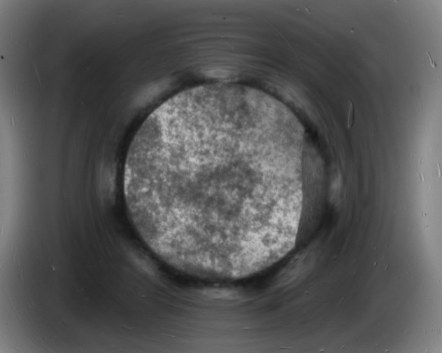 X0000085280404200703301920