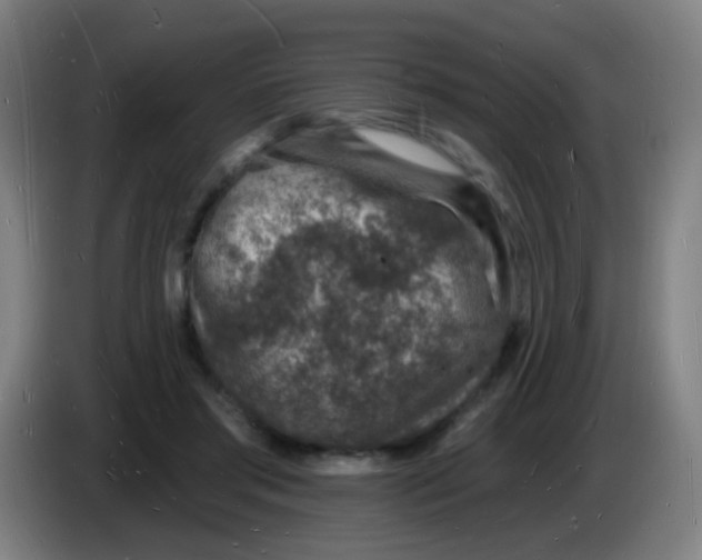 X0000085280405200703301920