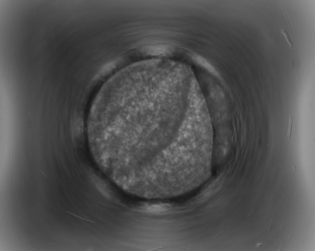 X0000085280407200703301920