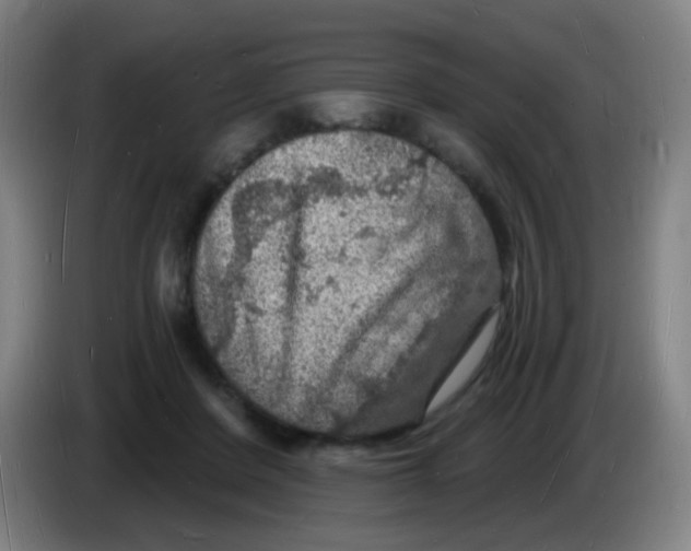 X0000085280408200703301920