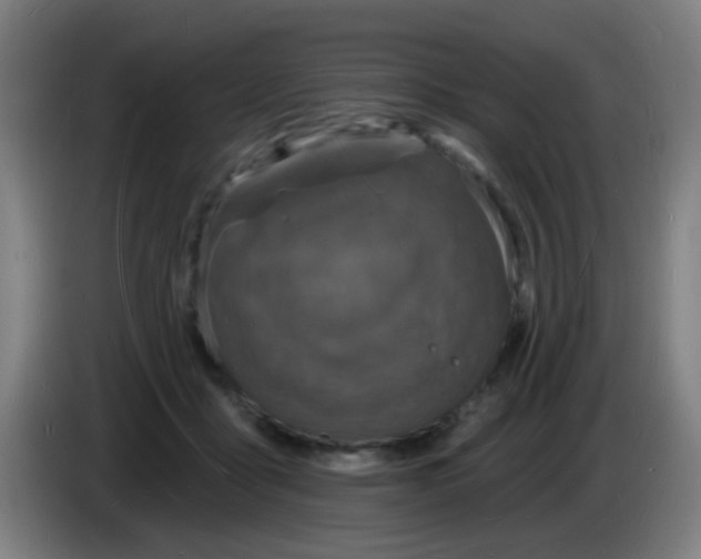 X0000085280411200703301920