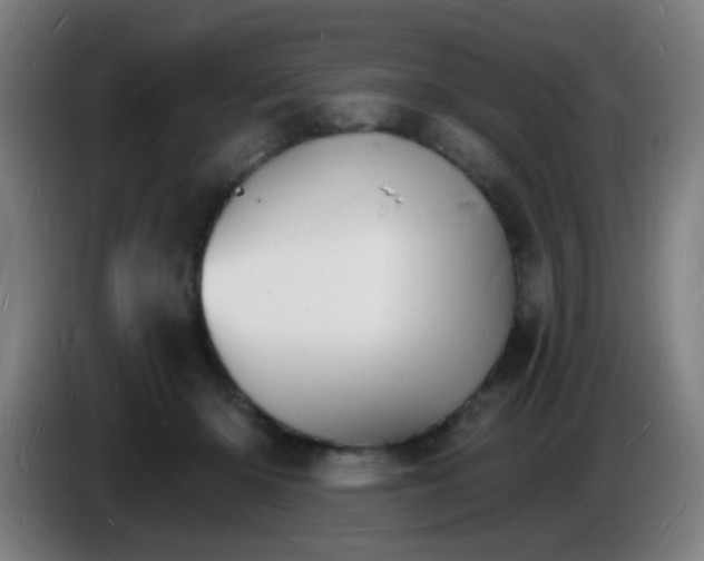 X0000085280414200703301920