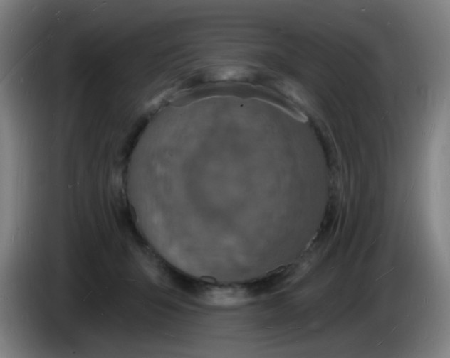 X0000085280415200703301920