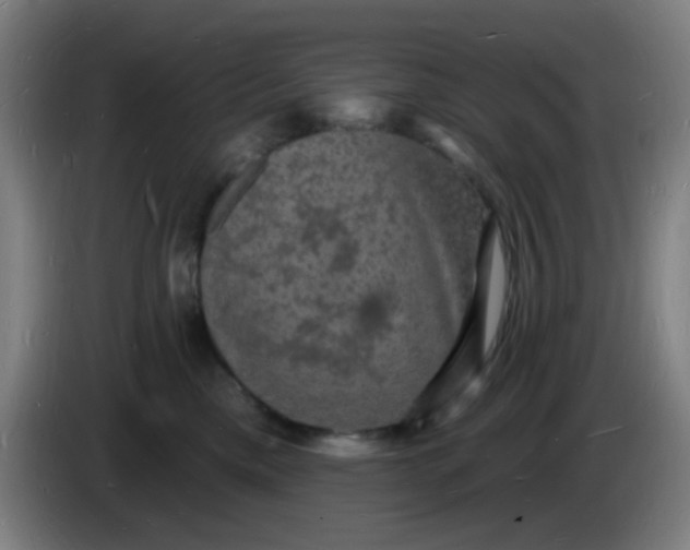 X0000085280425200703301920