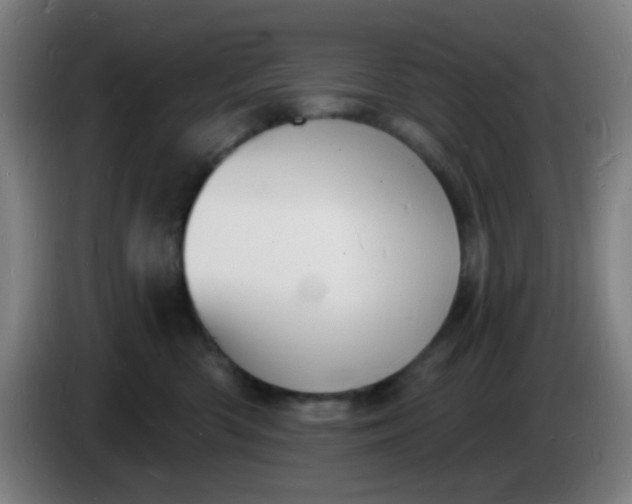 X0000085280426200703301920