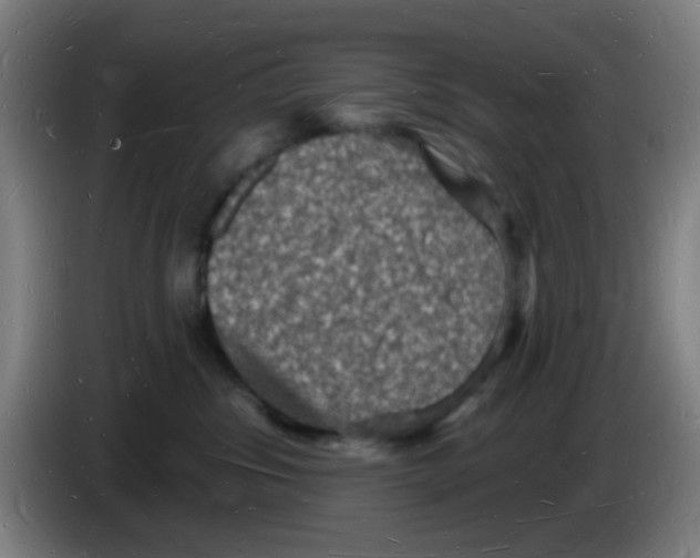 X0000085280428200703301920