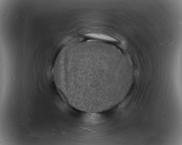 X0000085280429200703301920