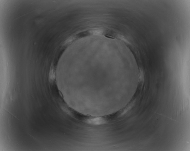 X0000085280431200703301920