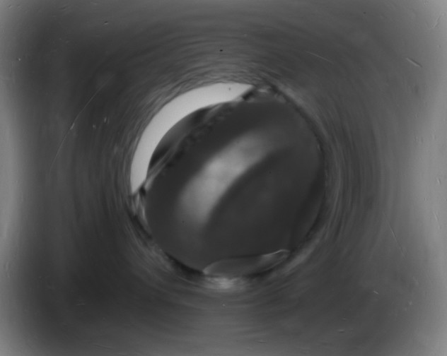 X0000085280432200703301920