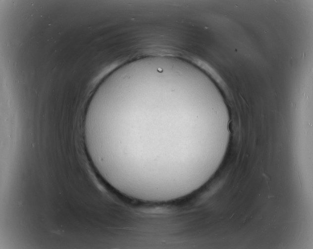 X0000085280433200703301919