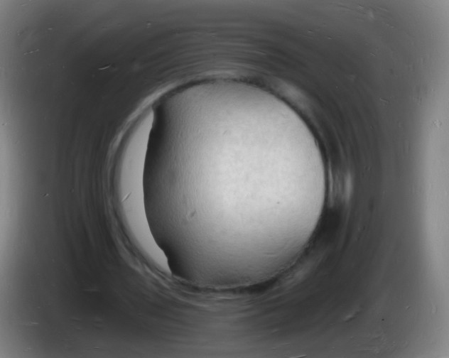 X0000085280435200703301919