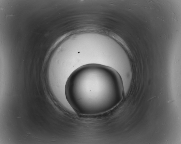 X0000085280436200703301919