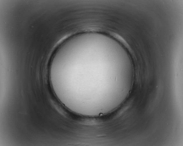 X0000085280439200703301919