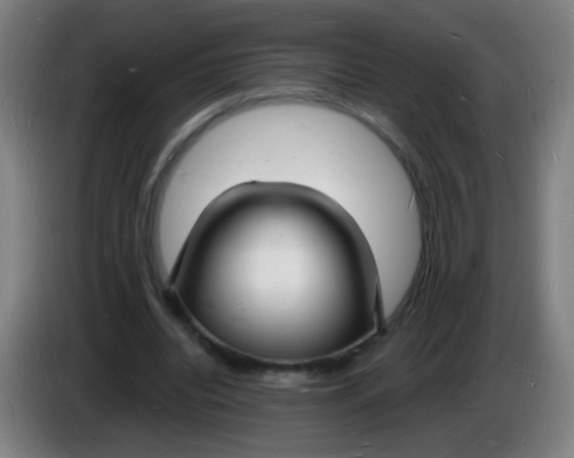 X0000085280440200703301919