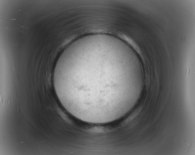 X0000085280441200703301919