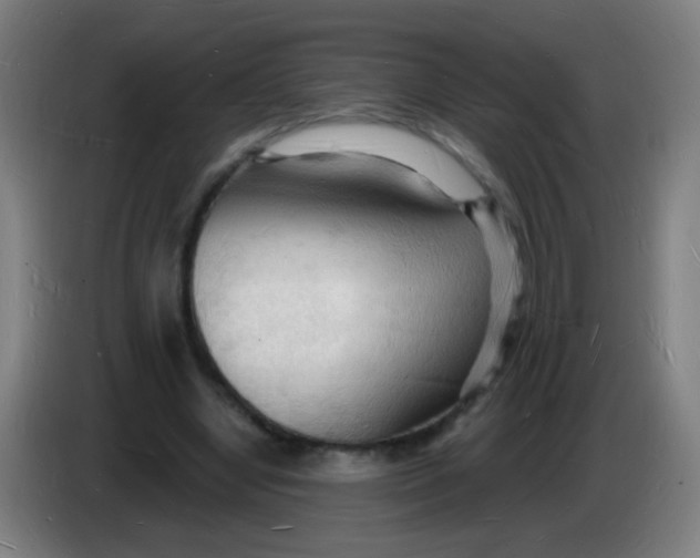 X0000085280442200703301919