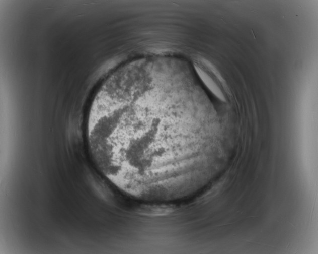 X0000085280443200703301919