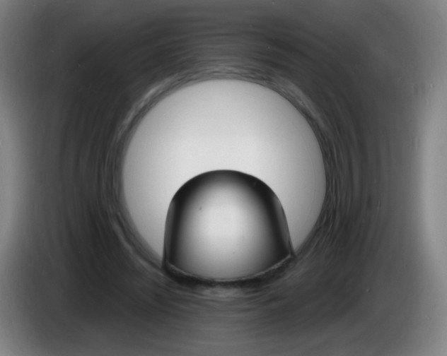 X0000085280444200703301919