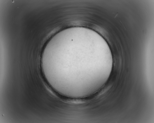 X0000085280445200703301919