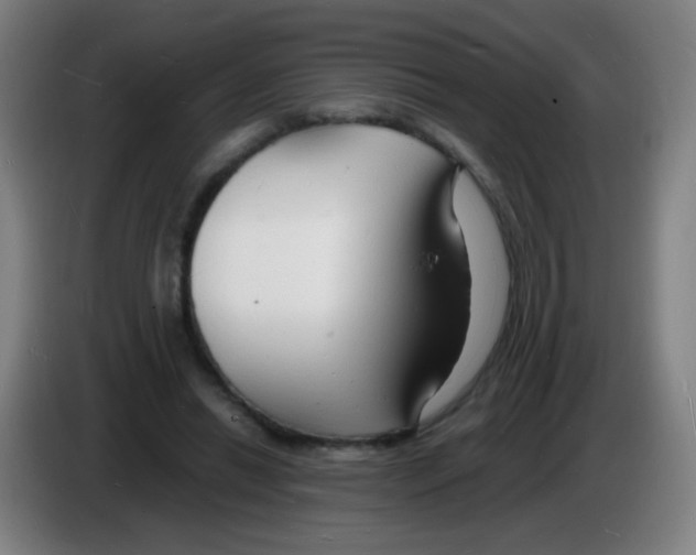 X0000085280446200703301919