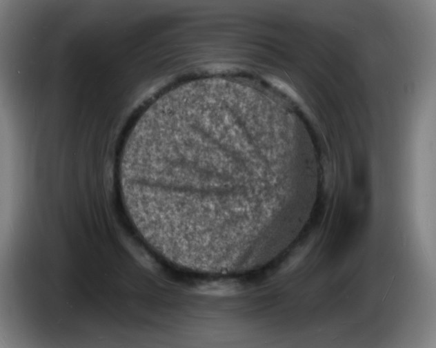 X0000085280447200703301919