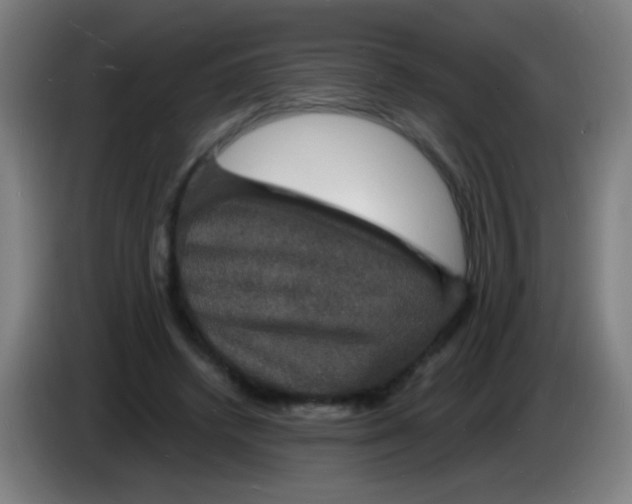 X0000085280448200703301919