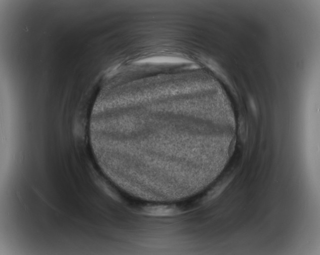 X0000085280449200703301919