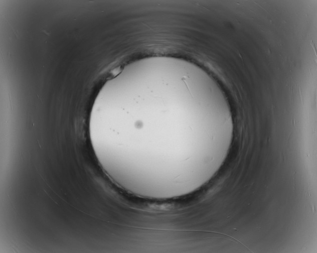 X0000085280450200703301919