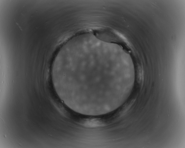 X0000085280451200703301919