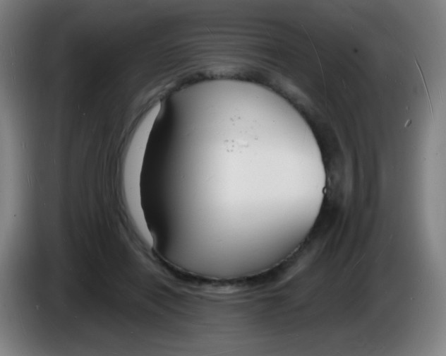 X0000085280454200703301919