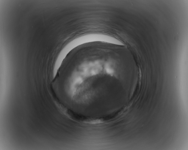 X0000085280456200703301919