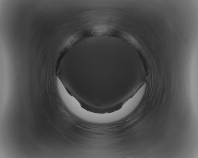 X0000085280458200703301919