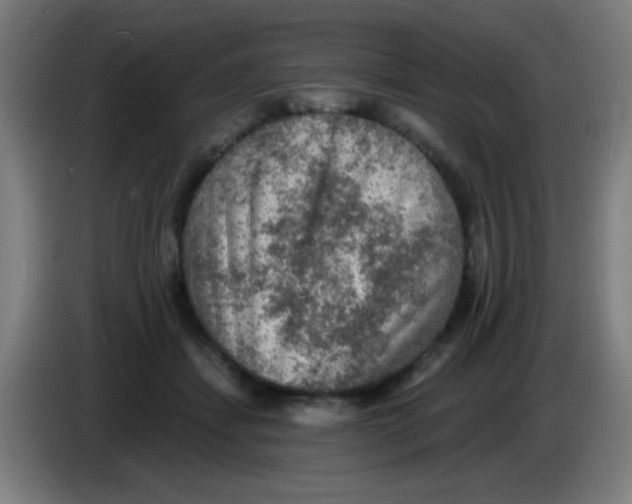 X0000085280459200703301919