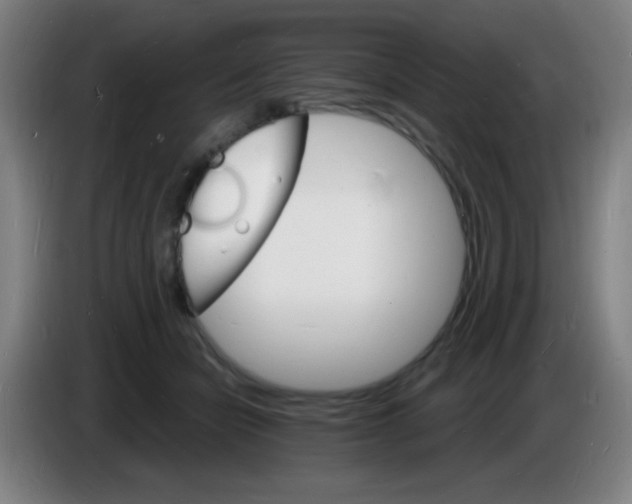 X0000085280462200703301919