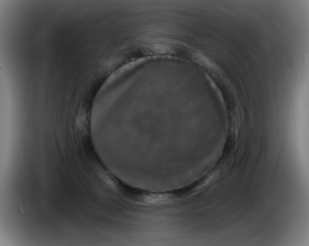 X0000085280465200703301919