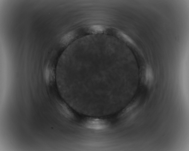 X0000085280467200703301919