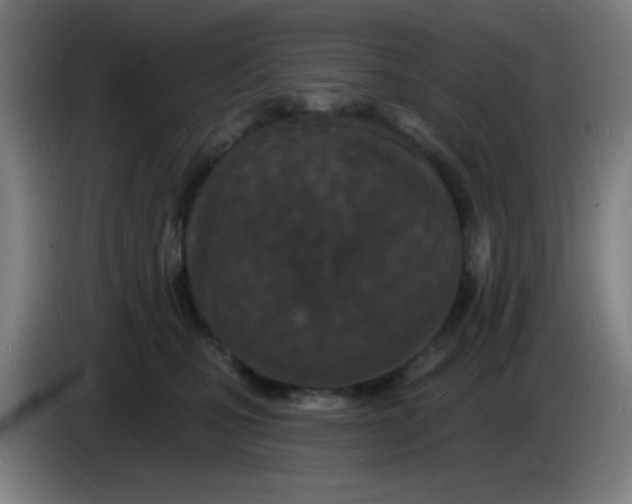 X0000085280471200703301919