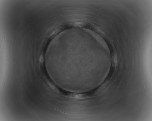 X0000085280472200703301919