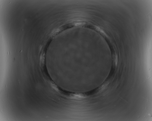 X0000085280475200703301920