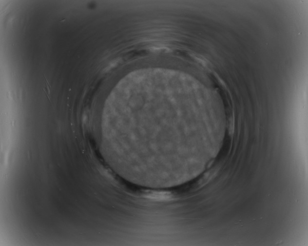 X0000085280476200703301920