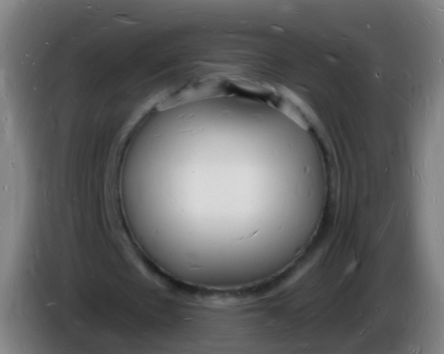 X0000085280481200703301919