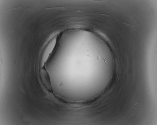 X0000085280482200703301919