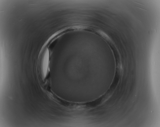 X0000085280484200703301919