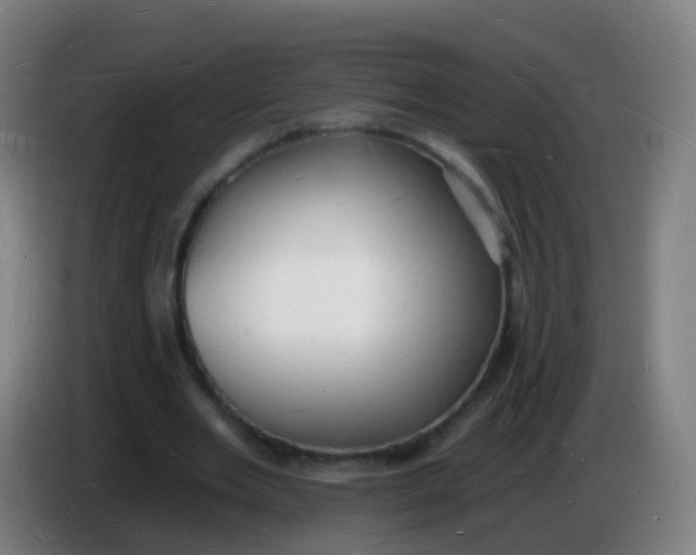 X0000085280485200703301919