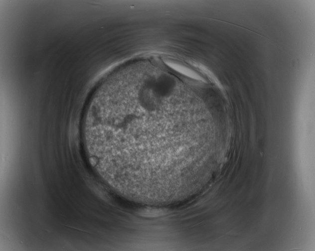 X0000085280487200703301919