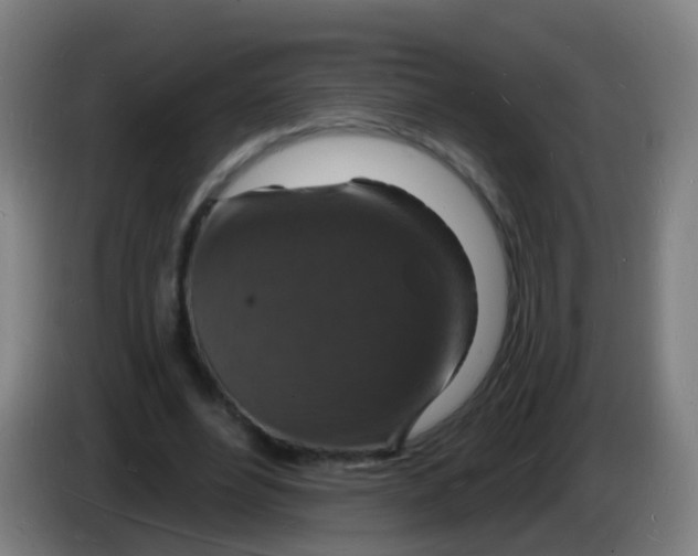 X0000085280488200703301919