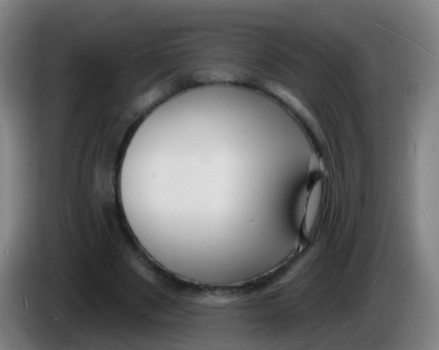 X0000085280489200703301919