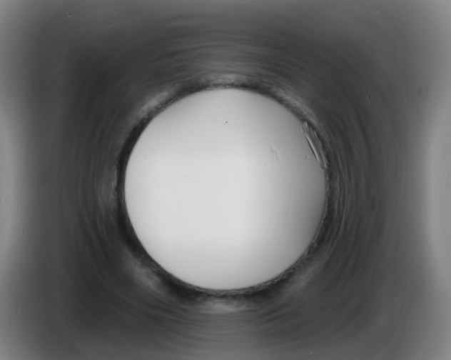 X0000085280490200703301919