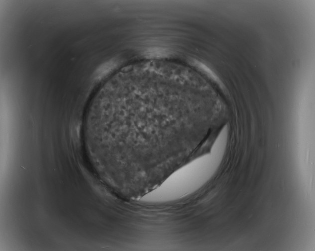 X0000085280491200703301919